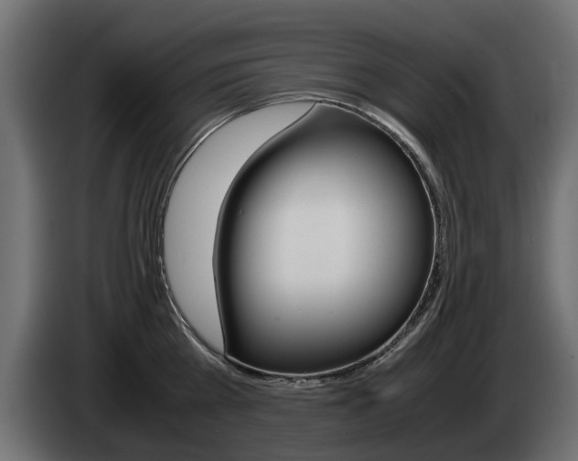 X0000085050809200703051044