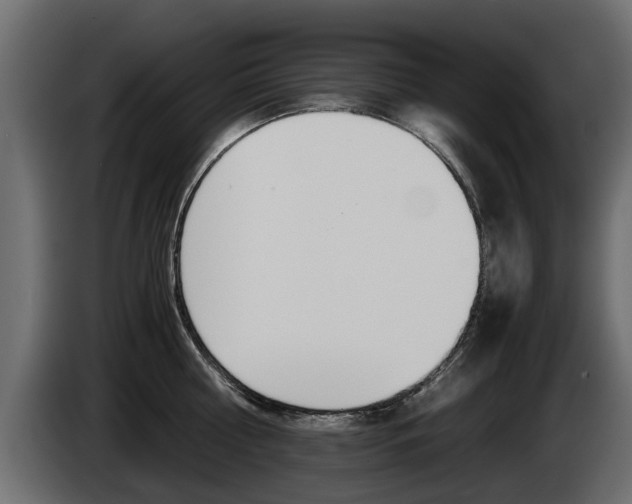 X0000085050810200703051044