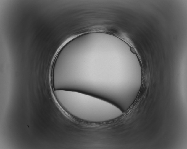 X0000085050811200703051044