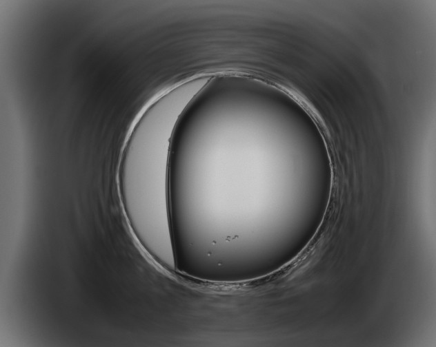 X0000085050813200703051044