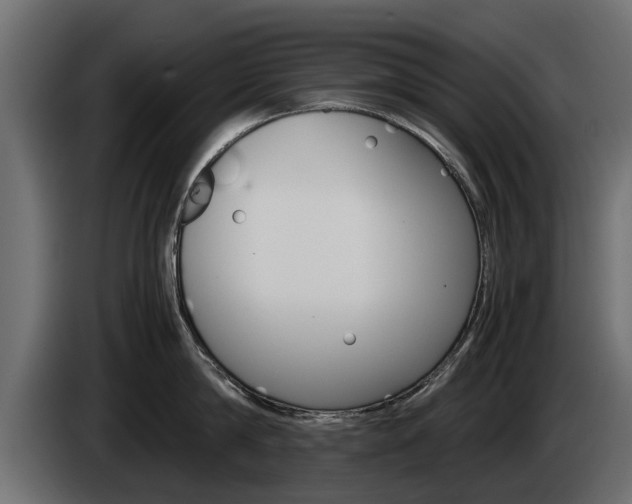 X0000085050814200703051044
