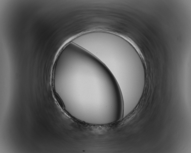 X0000085050815200703051044