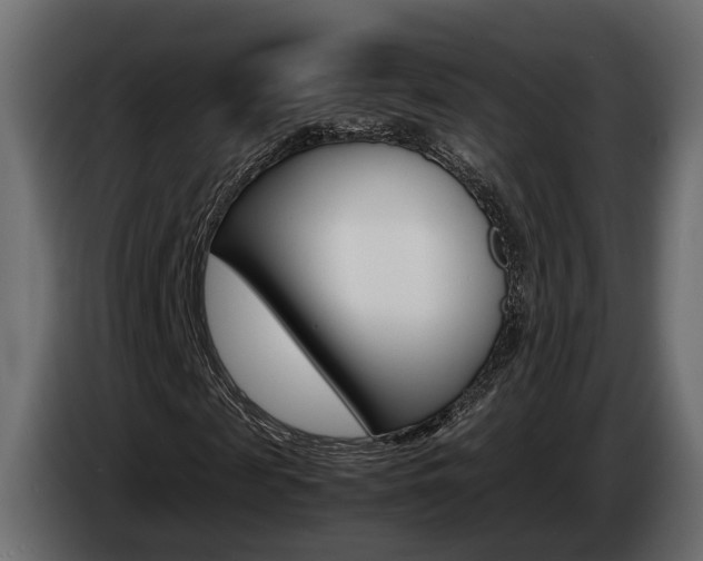 X0000085050817200703051043
