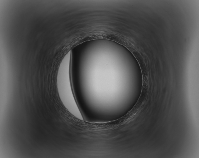 X0000085050818200703051043