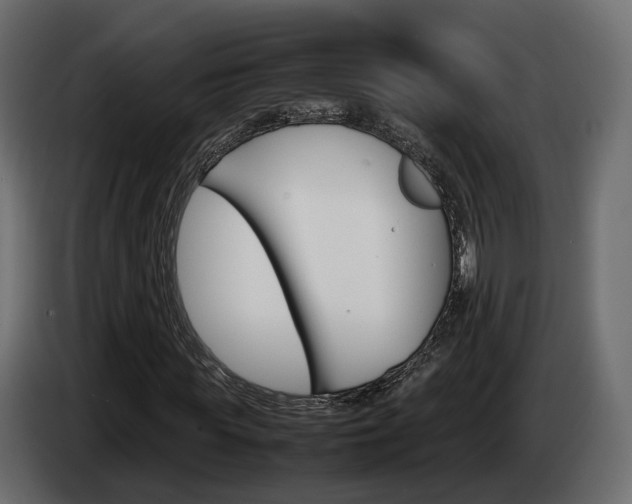 X0000085050819200703051043