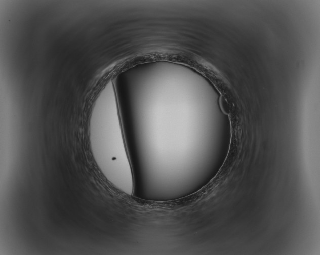 X0000085050822200703051043