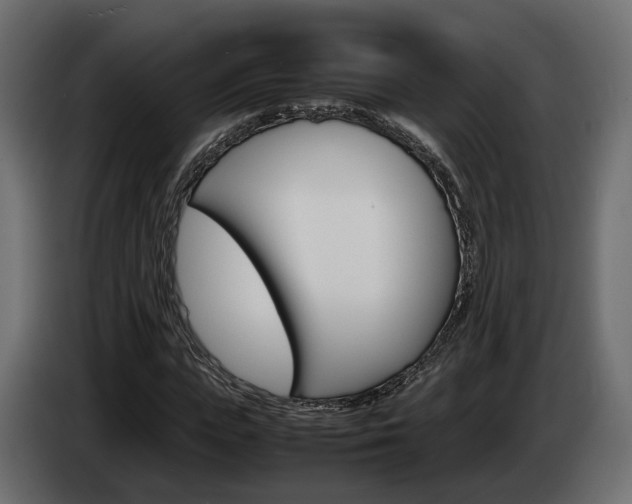 X0000085050823200703051043