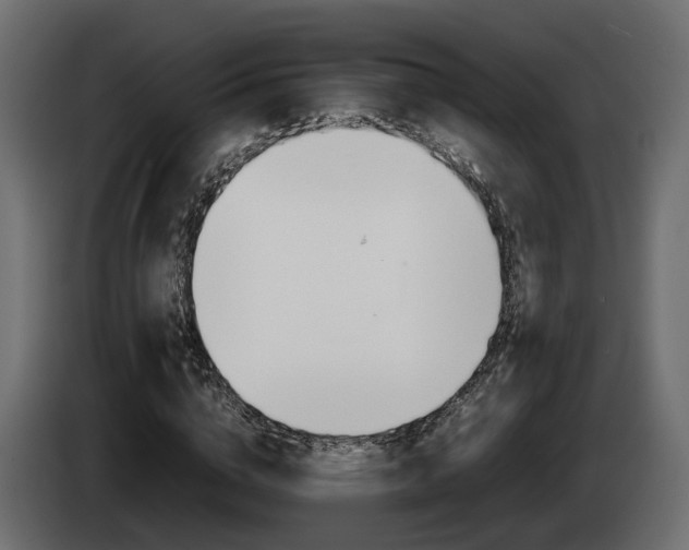 X0000085050824200703051043