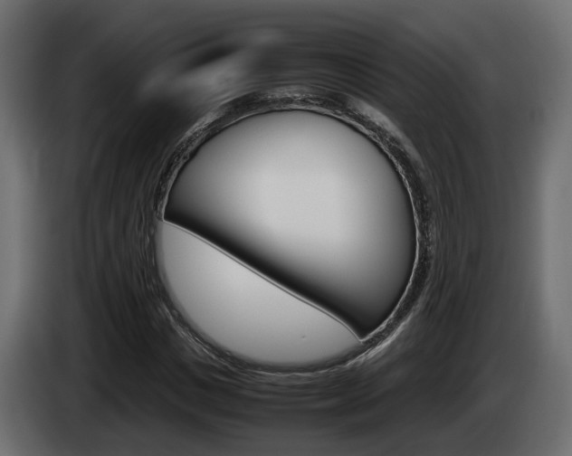 X0000085050825200703051043