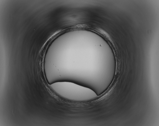 X0000085050827200703051043
