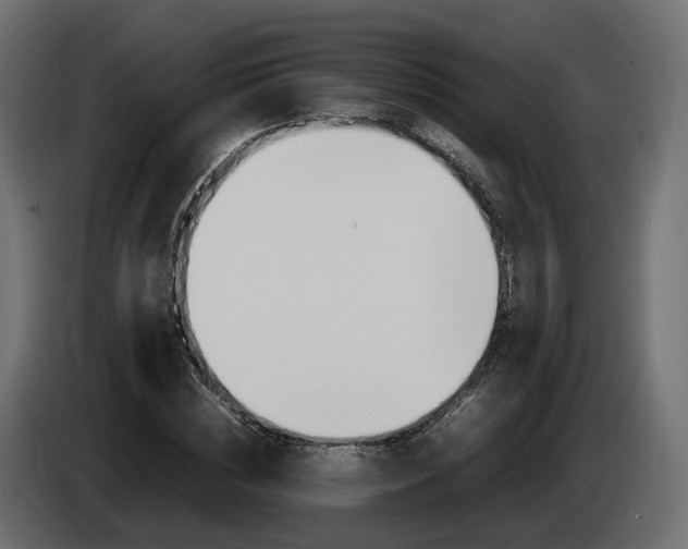 X0000085050828200703051043
