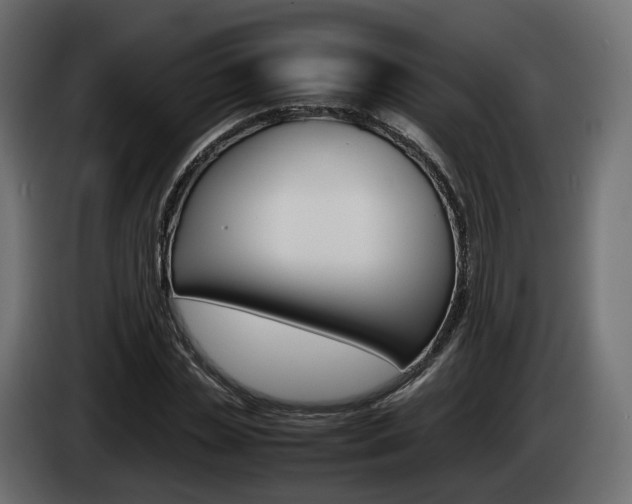 X0000085050829200703051043