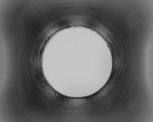 X0000085050832200703051043