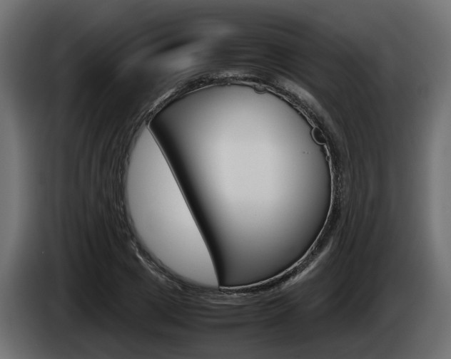 X0000085050833200703051043