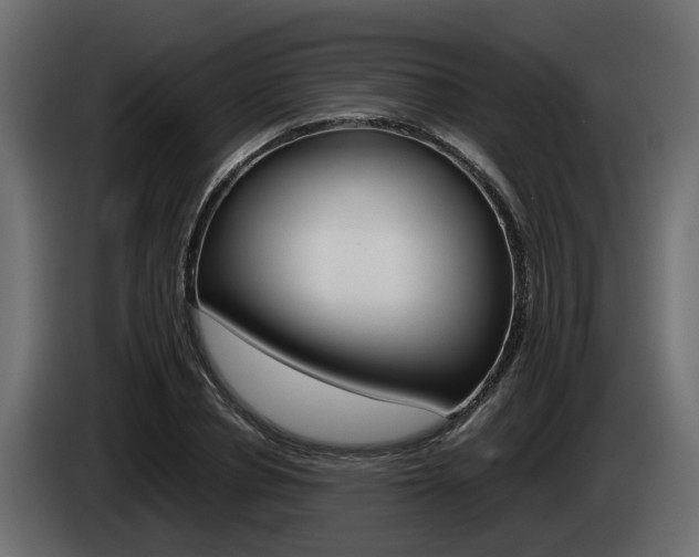 X0000085050834200703051043
