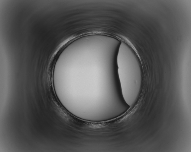 X0000085050835200703051043