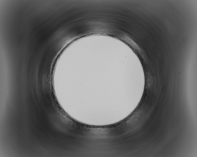 X0000085050836200703051043