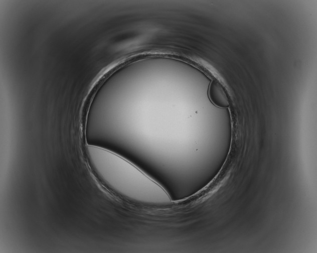 X0000085050837200703051043
