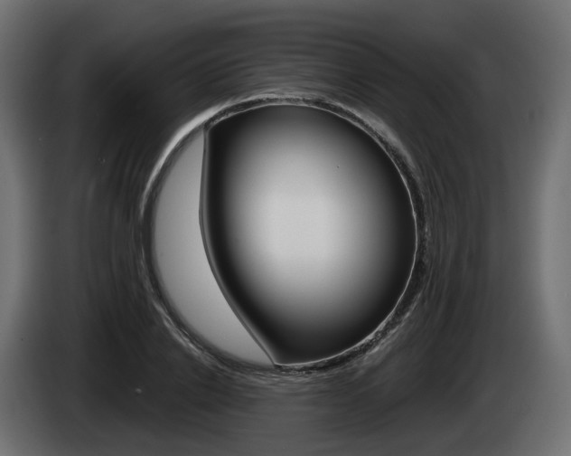 X0000085050838200703051043