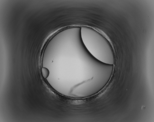X0000085050839200703051043