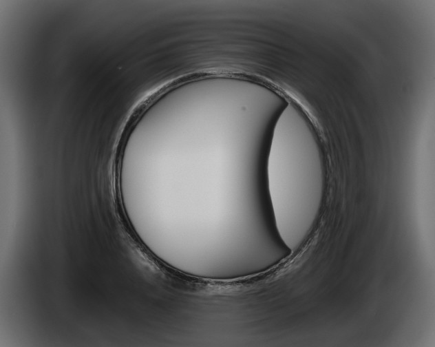 X0000085050840200703051043
