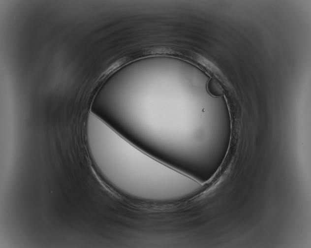 X0000085050841200703051043