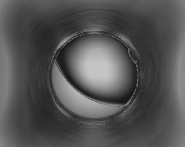 X0000085050842200703051043