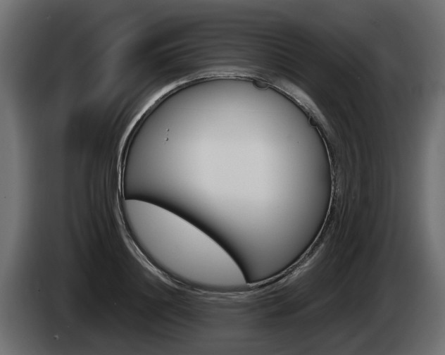 X0000085050844200703051043