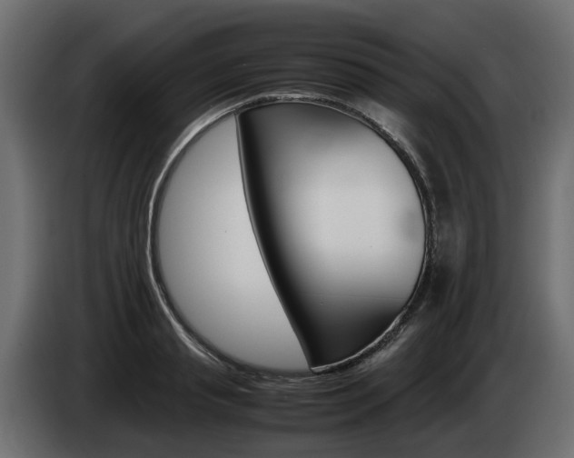 X0000085050845200703051043