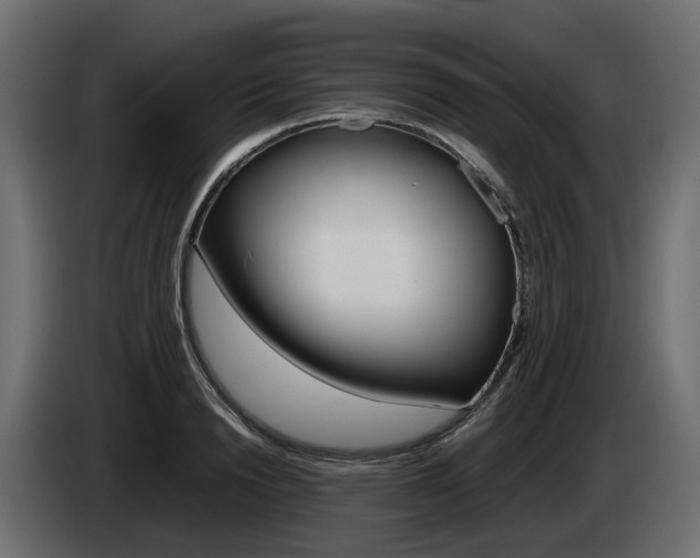 X0000085050846200703051043