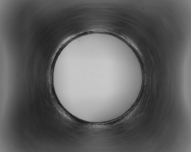 X0000085050848200703051043