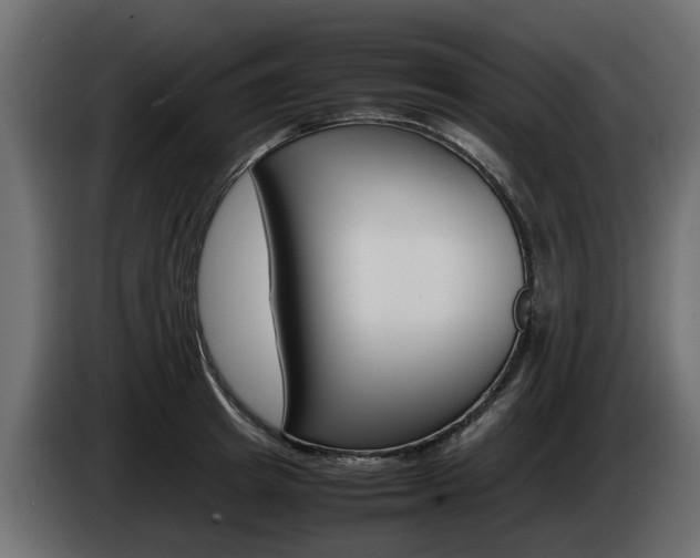 X0000085050849200703051043