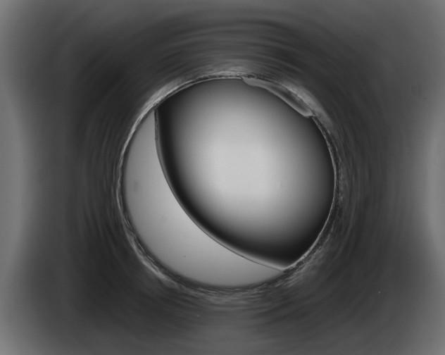 X0000085050850200703051044