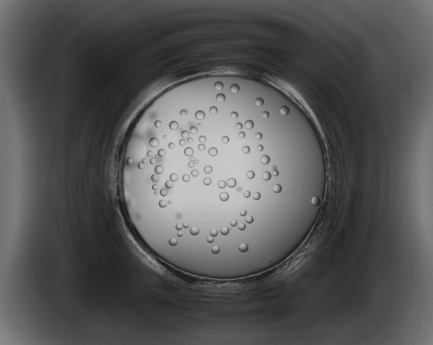 X0000085050851200703051044