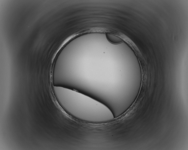X0000085050852200703051044