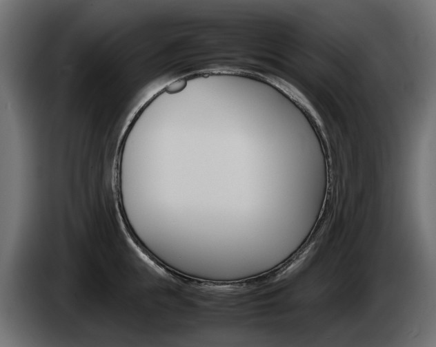 X0000085050855200703051044