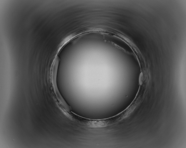 X0000085050858200703051044