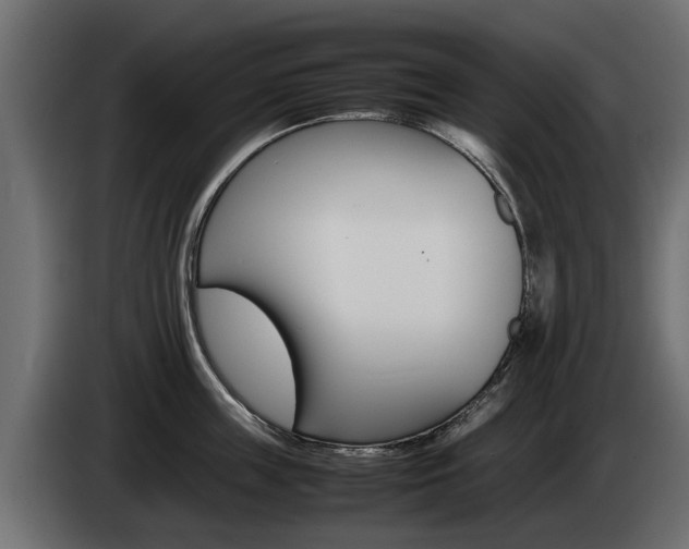X0000085050859200703051044
