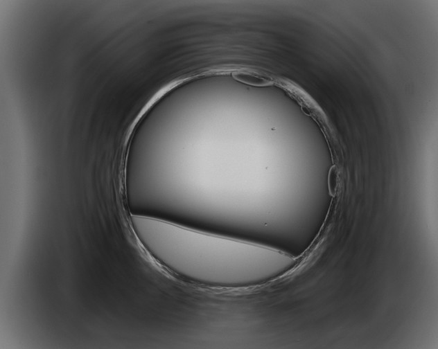 X0000085050860200703051044
