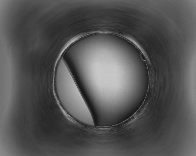 X0000085050861200703051044