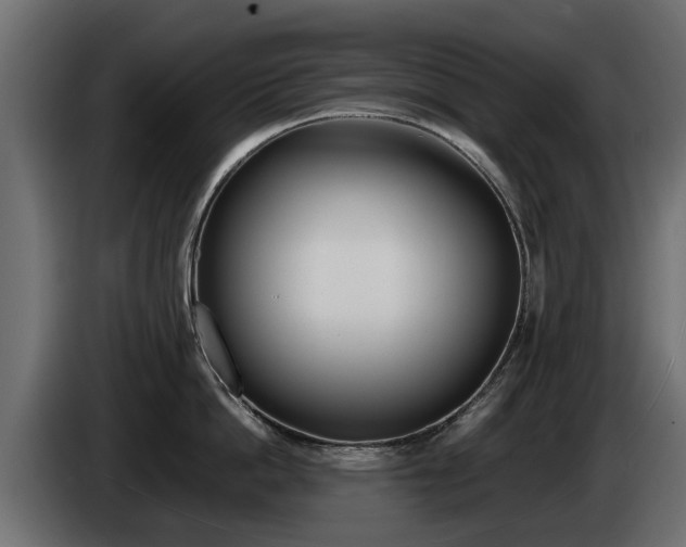 X0000085050862200703051044