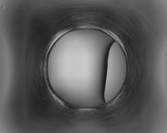 X0000085050863200703051044