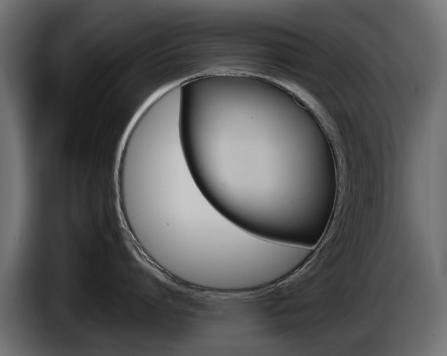X0000085050864200703051044