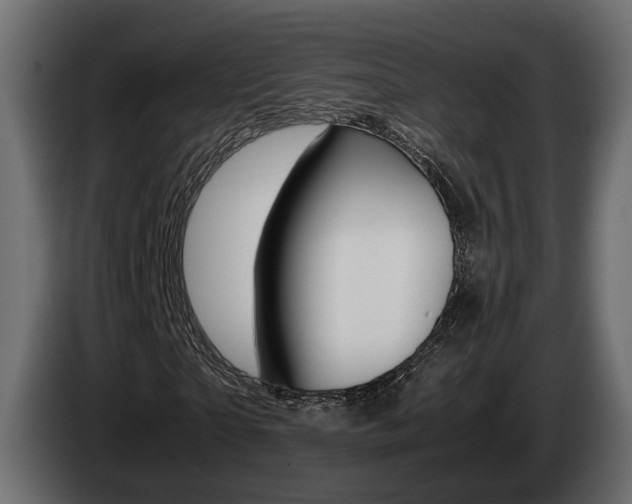 X0000085050865200703051043