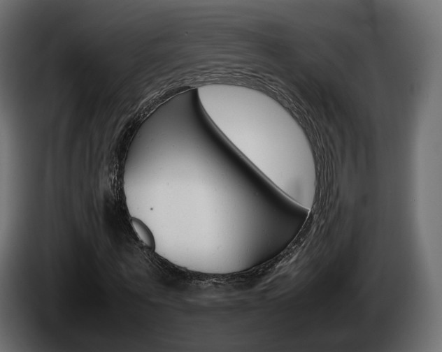 X0000085050867200703051043