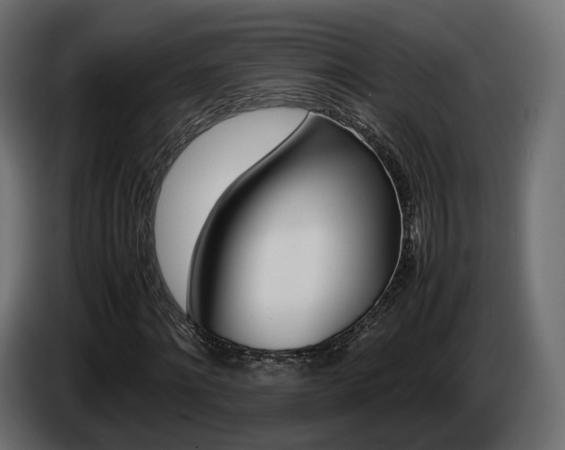 X0000085050868200703051043