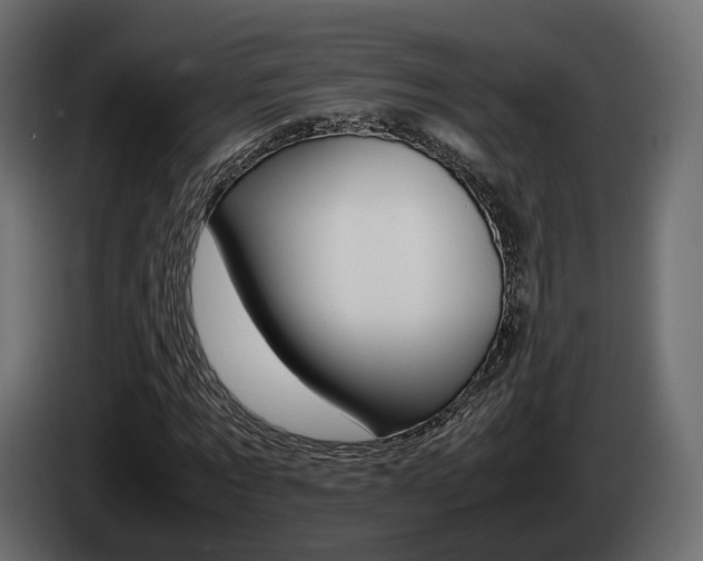 X0000085050869200703051043