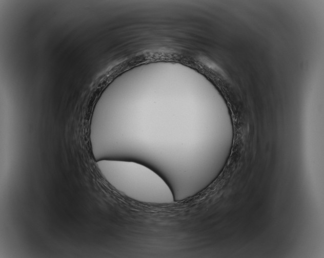 X0000085050870200703051043