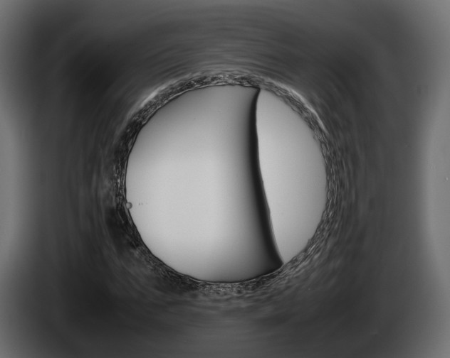 X0000085050871200703051043