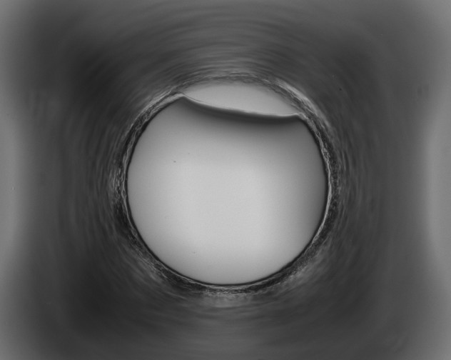 X0000085050873200703051043